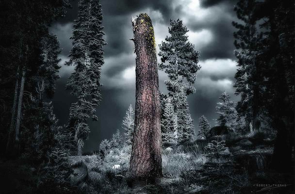 Sierra Monolith