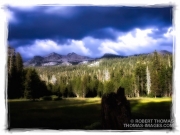 Looming storm