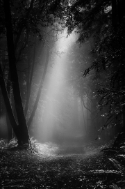 _DFX1010-1012_HDR-Black-White-Cleaned-Up_756x1140_Q80