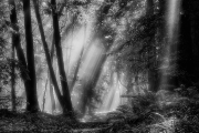 _DFX2420_HDR_1140x758_Q80_BW
