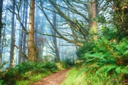 Artistic_DFX3302_HDR_1140x757_Q80
