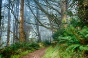 _DFX3302_HDR_1140x757_Q80