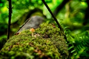 _DFX5706_HDR-Nik_and_PPS9_vignette_1140x757_Q80