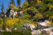 Fall colors in Desolation Wilderness